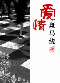 国产午夜亚洲精品第一区